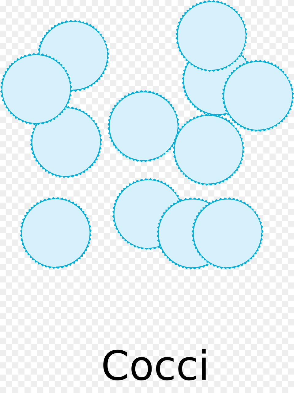 Biology Clipart, Sphere, Lighting, Paper Free Png