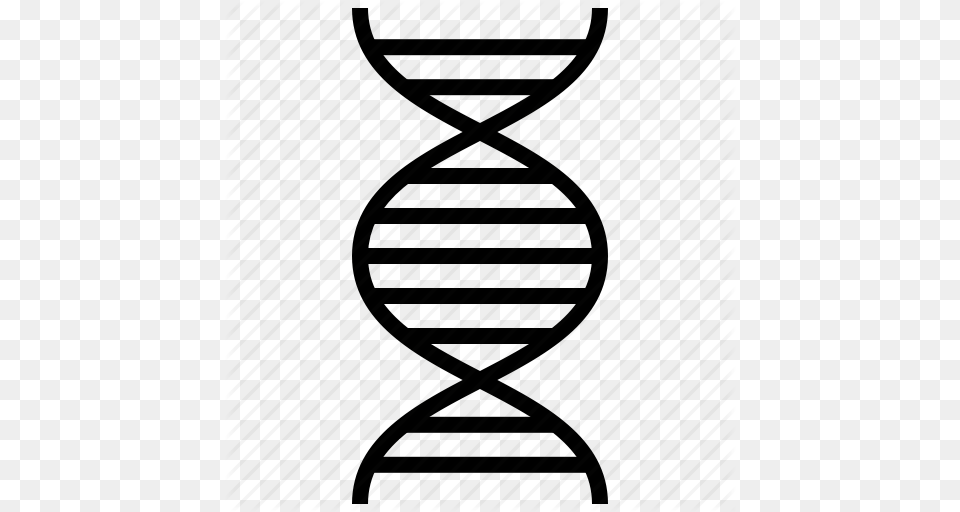 Biology Dna Dna Strand Hospital Medical Research Science Icon, Hourglass, Architecture, Building Free Png