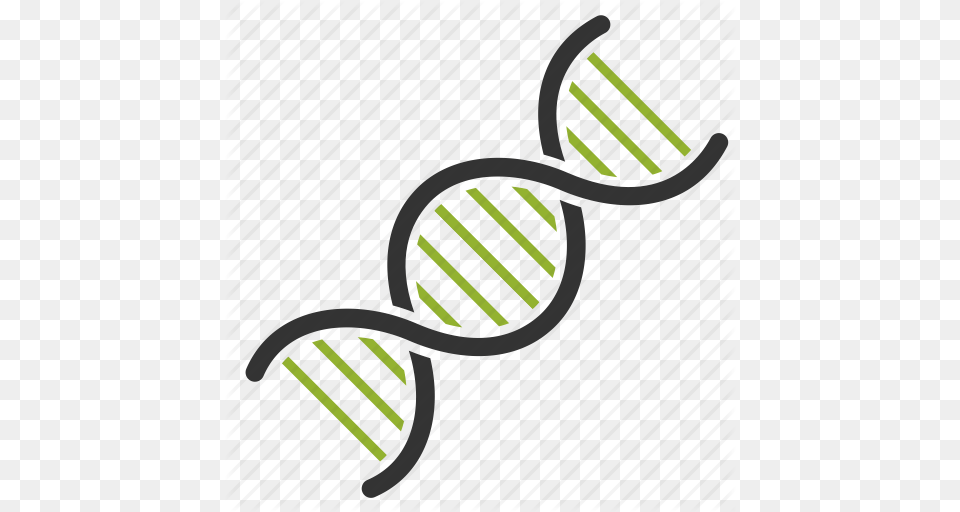 Biology Dna Genetic Genome Studing Icon, Pattern Png