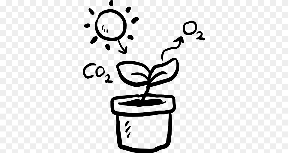 Biology Icon, Stencil, Leaf, Plant Png
