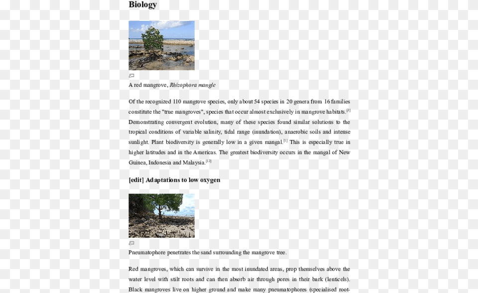 Biology Of Mangrove Tree, Rock, Soil, Plant, Vegetation Png