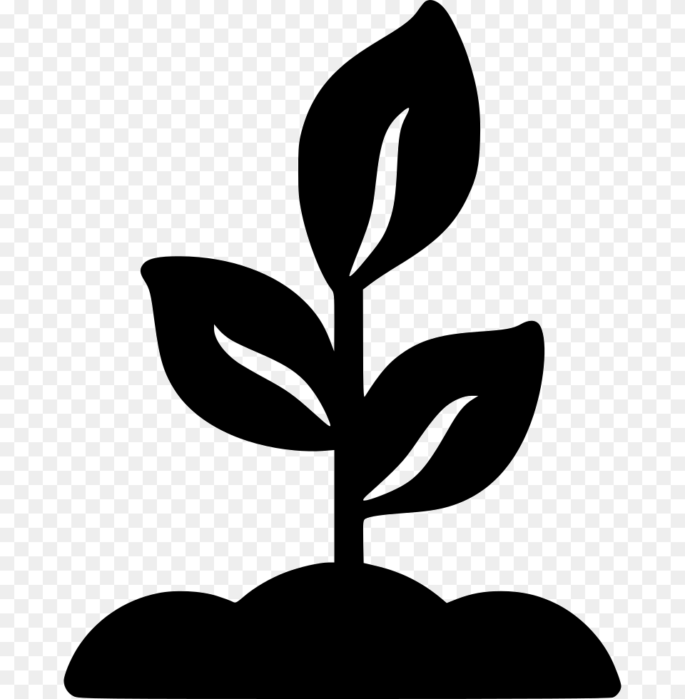Biology Plants Life Test Planta Icono, Leaf, Plant, Stencil, Silhouette Free Png