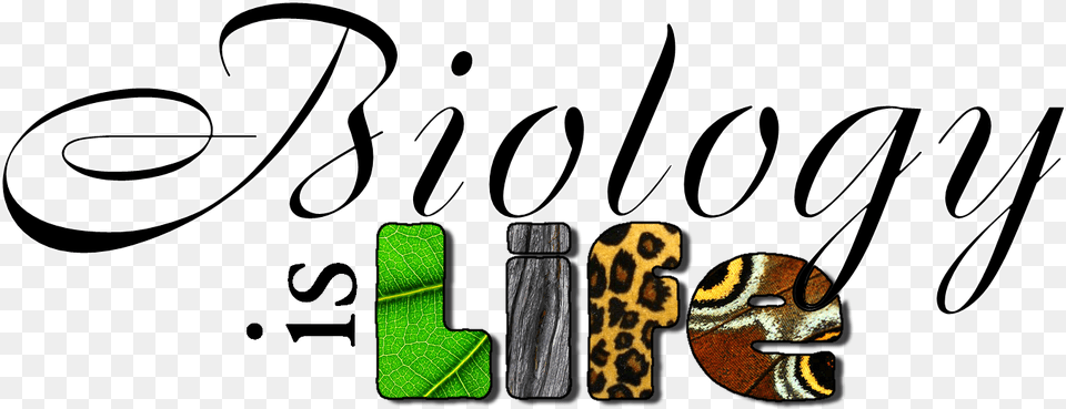 Biology Project Cover Page, Text Free Png