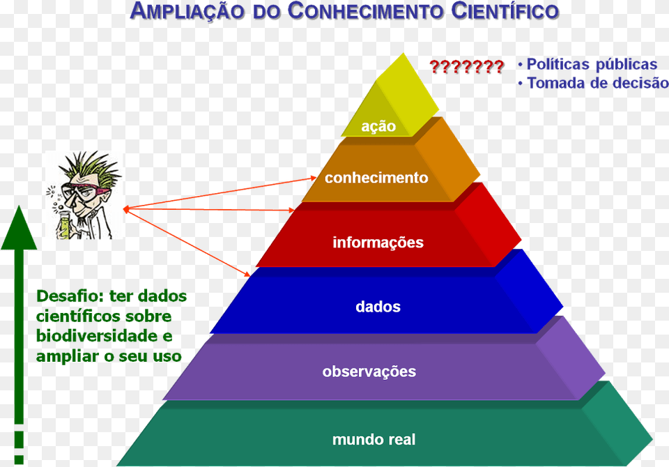 Biology Triangle, Baby, Person, Face, Head Free Transparent Png