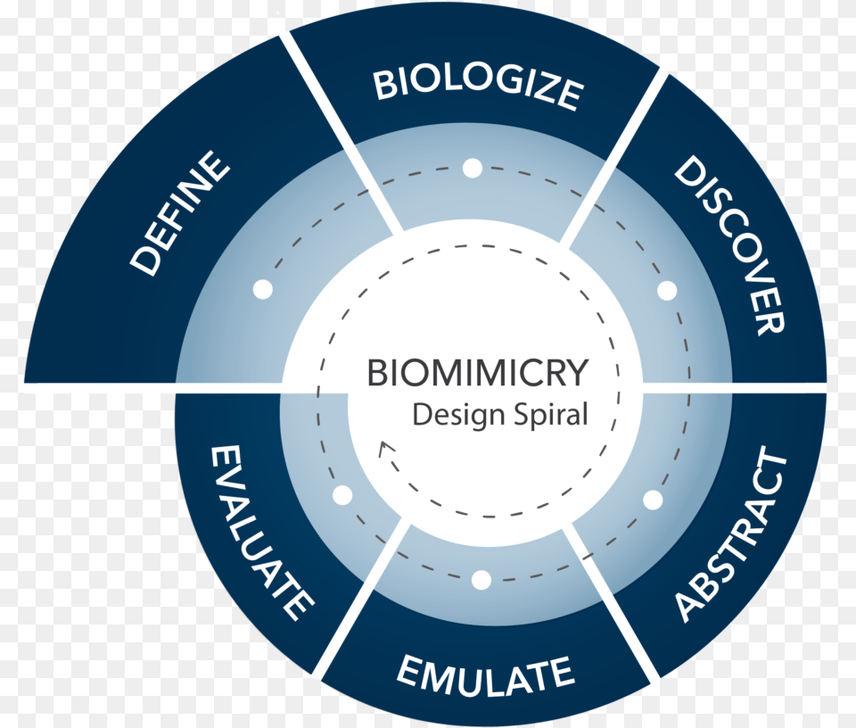 Biomimicry Design Spiral, Nature, Night, Outdoors, Disk Free Png Download