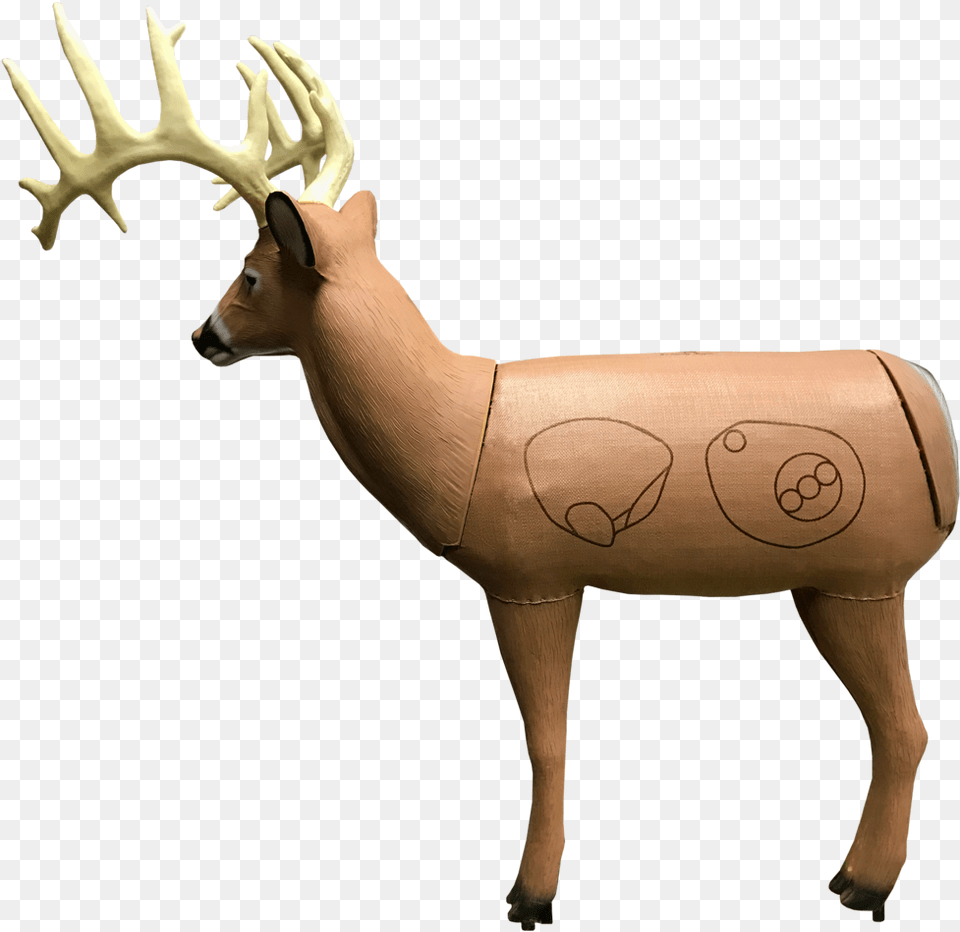 Bionic Buck Iii Field Point Classic 3d Archery Target Archery, Animal, Deer, Mammal, Wildlife Free Png