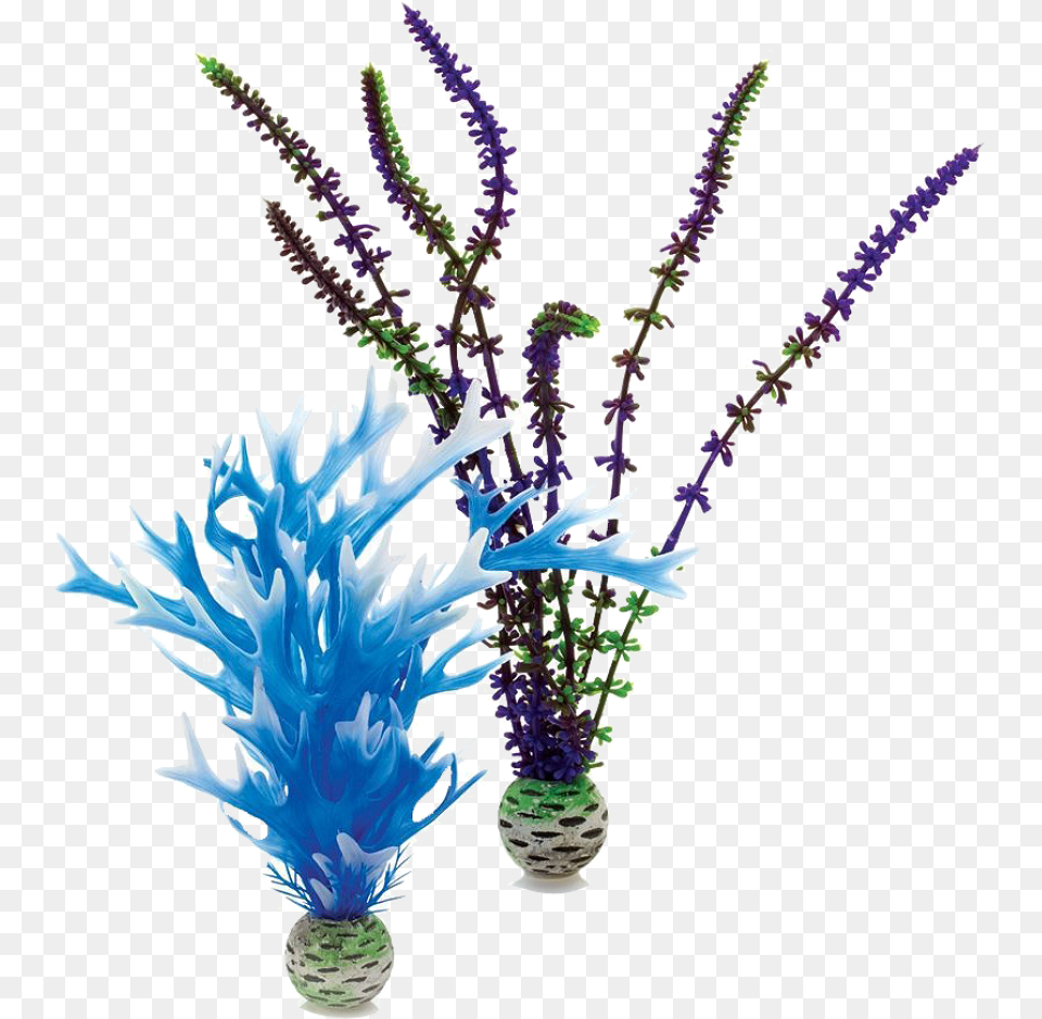 Biorb, Flower, Flower Arrangement, Plant, Purple Png Image