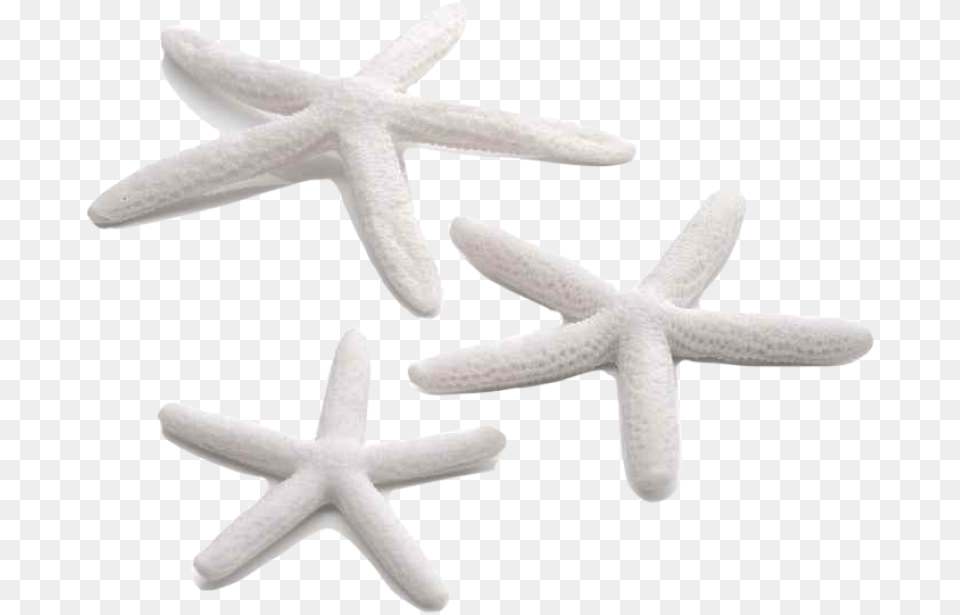 Biorb Starfish Set Pk White Biorb Starfish Set, Animal, Sea Life, Invertebrate, Fish Free Png Download