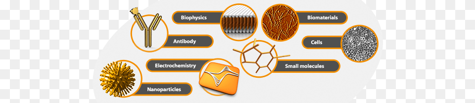 Biosensor Development Png