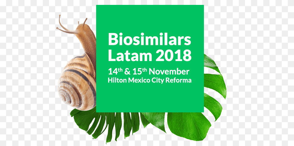 Biosimilars Latam, Advertisement, Animal, Insect, Invertebrate Png