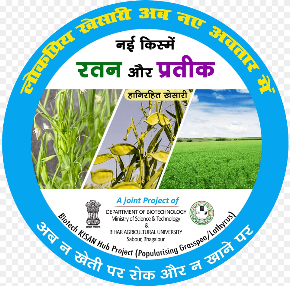 Biotech Kisan Hub Is Joint Project Between Department Selo Bingo, Advertisement, Poster, Plant, Agriculture Free Png