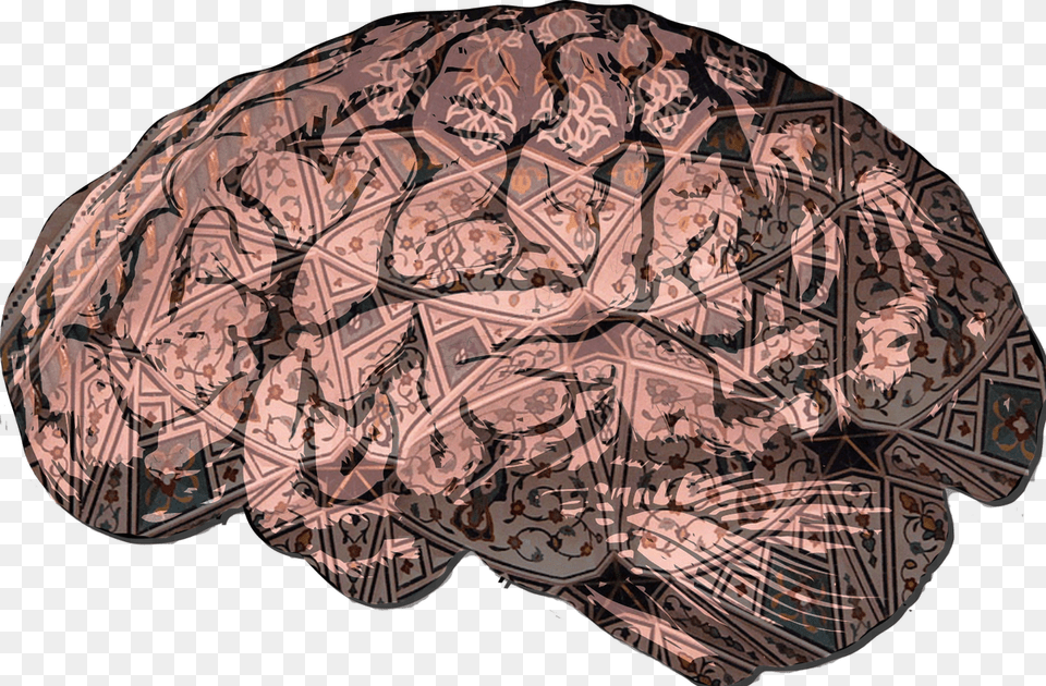 Bipolar Disorder Brain, Adult, Female, Person, Woman Png Image