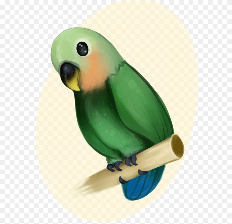 Birb Drawing Love Bird Huge Freebie Download For Powerpoint Green Peach Faced Lovebird Vector, Animal, Parakeet, Parrot Png