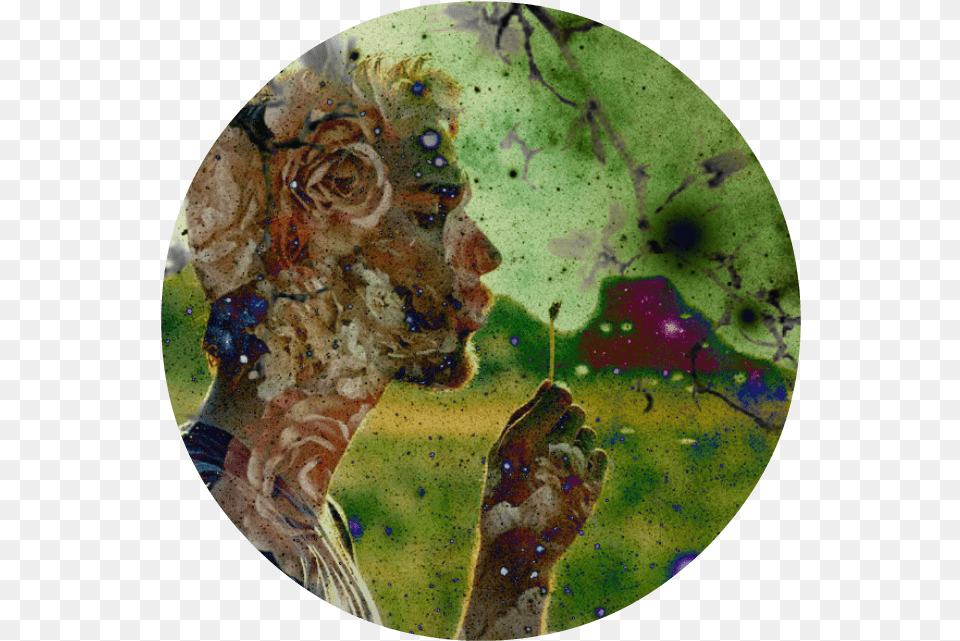 Birch, Art, Painting, Photography Free Png