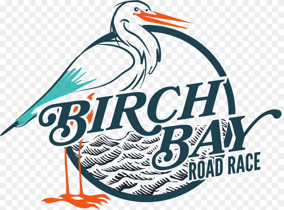 Birch Bay Road Race, Animal, Bird, Stork, Waterfowl Png