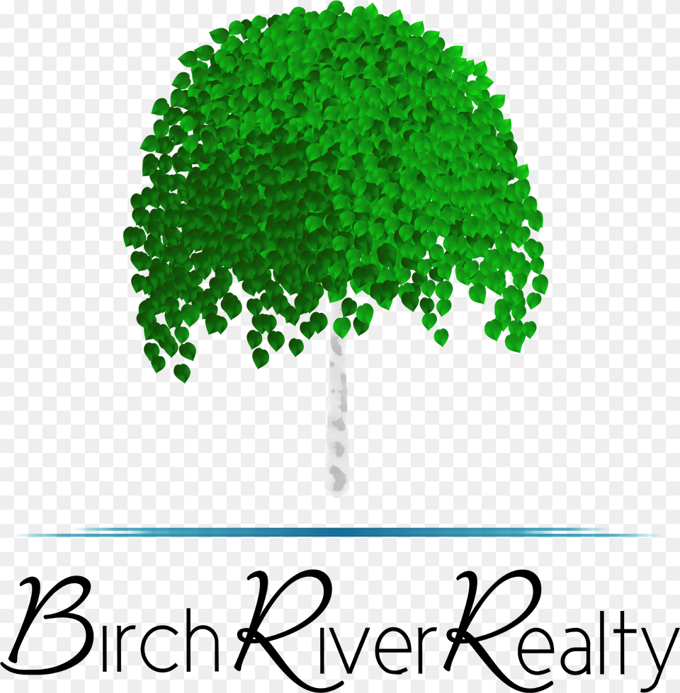 Birch River Realty Illustration, Green, Tree, Sycamore, Oak Free Png