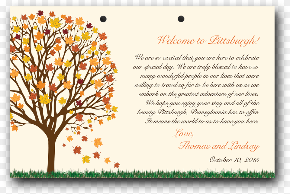 Birch Tree, Envelope, Greeting Card, Mail, Plant Free Png Download