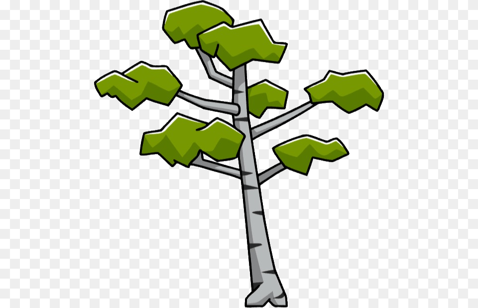 Birch Tree, Plant, Cross, Green, Symbol Free Transparent Png
