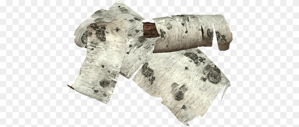 Birch Tree Bark Transparent, Text, Plant Png