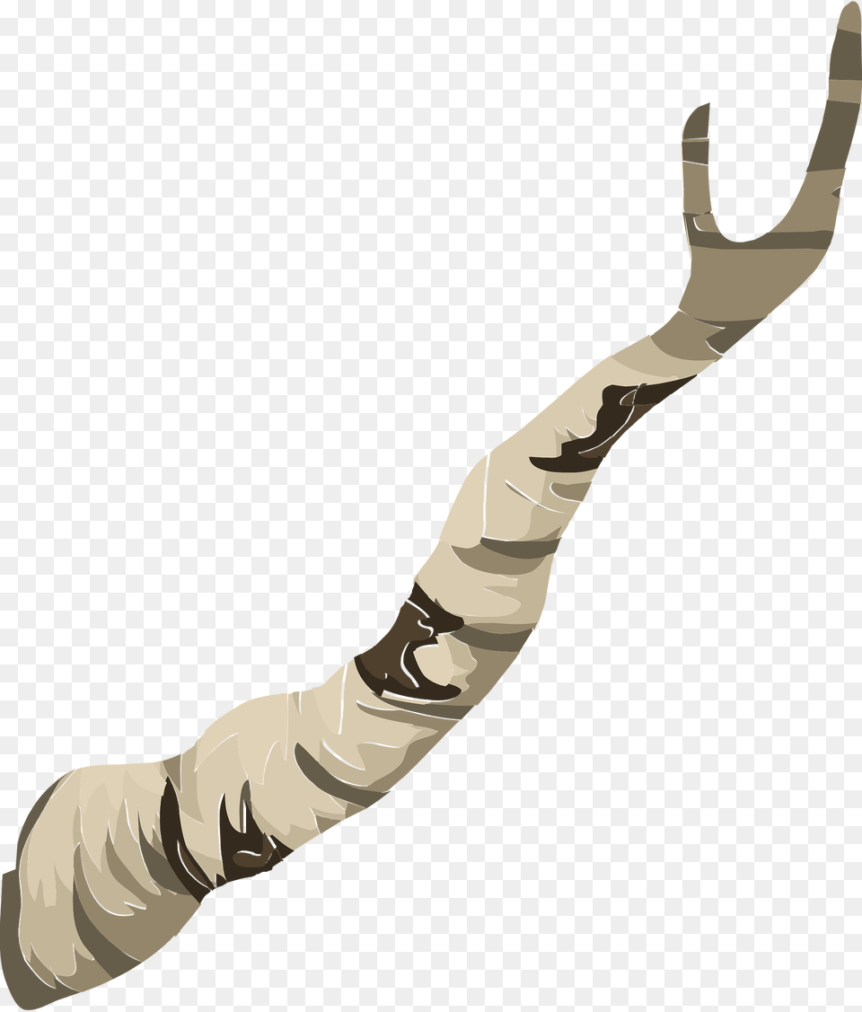 Birch Tree Branch Clipart, Person Png