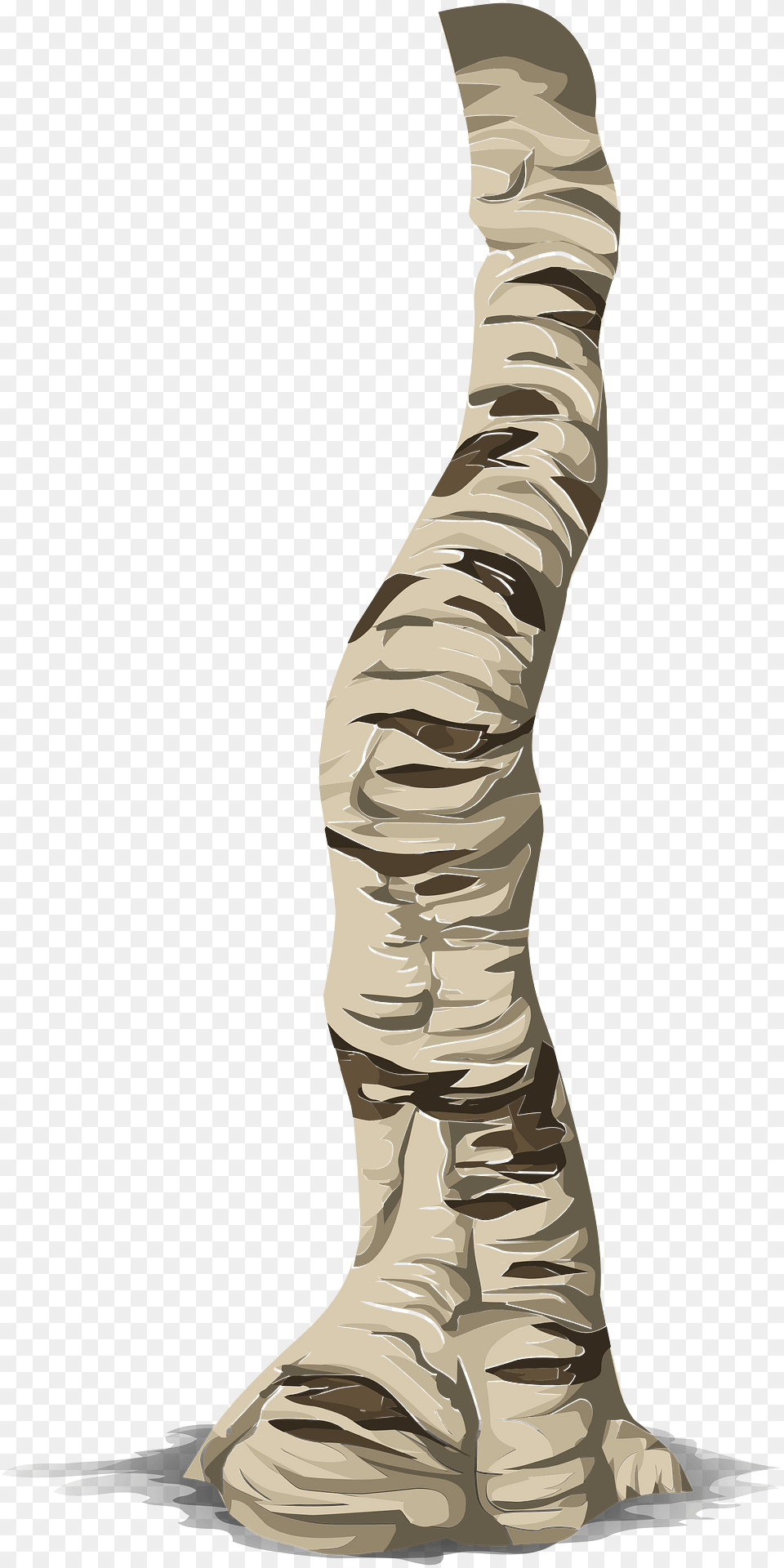 Birch Tree Branch Clipart, Person, Art, Face, Head Png