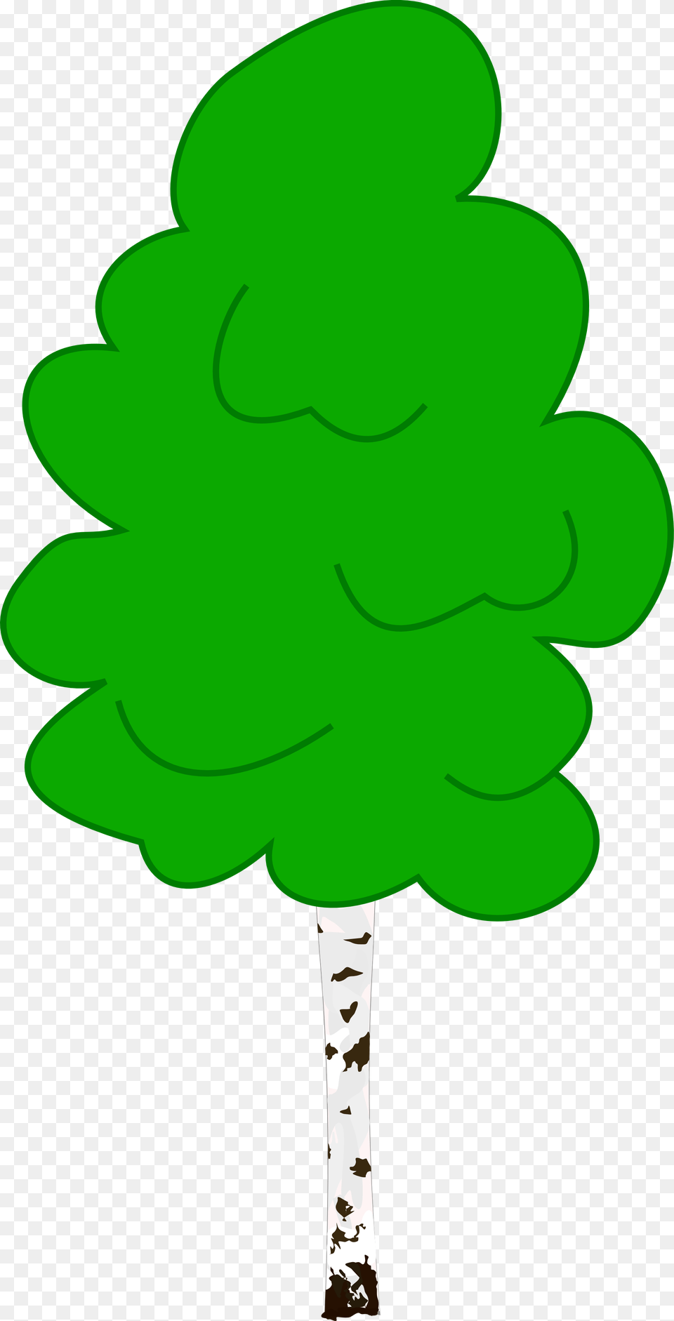 Birch Tree Clipart, Green, Leaf, Plant, Pine Png Image