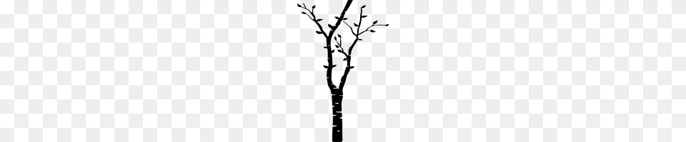 Birch Tree Icons Noun Project, Gray Png Image
