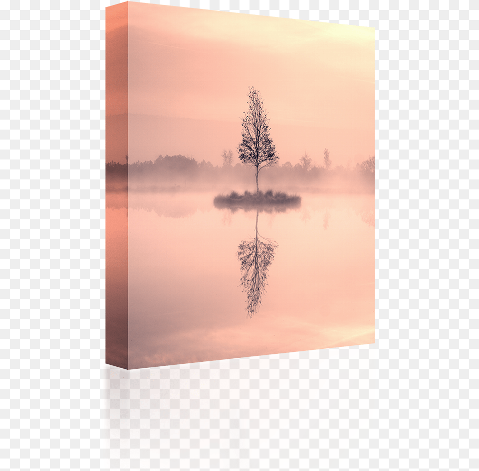 Birch Tree Island Reflection, Fog, Nature, Outdoors, Weather Png