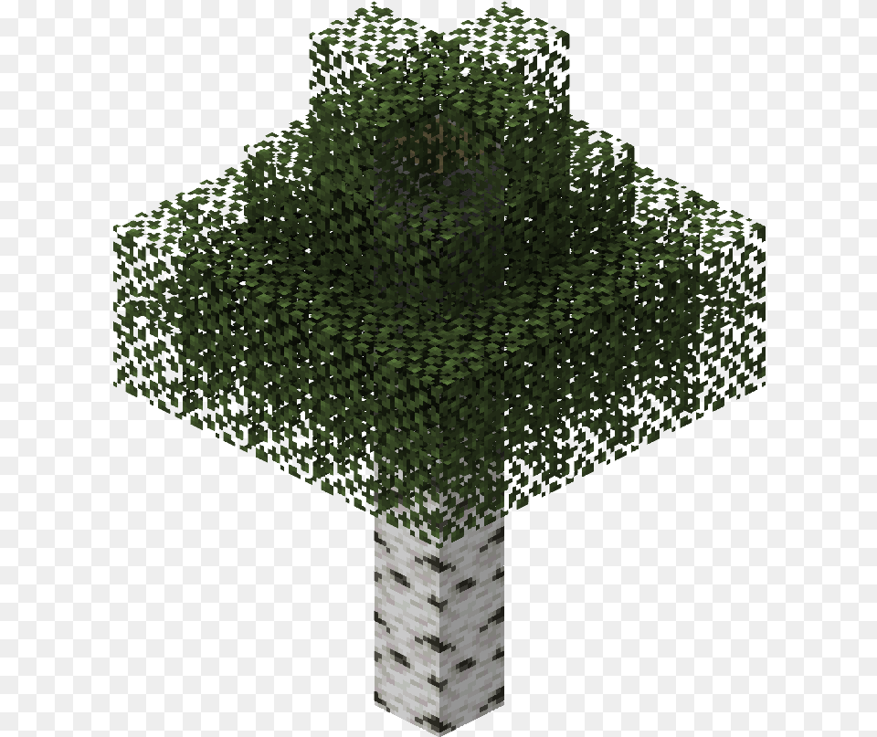 Birch Tree Minecraft Tree, Fashion, Cloak, Clothing, Poncho Free Png