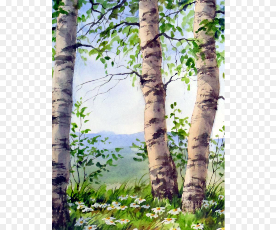 Birch Trio By Varvara Harmon Harvest Gold Gallery Watercolor Painting, Vegetation, Tree, Plant, Outdoors Free Png