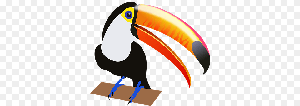 Bird Animal, Beak, Toucan Png