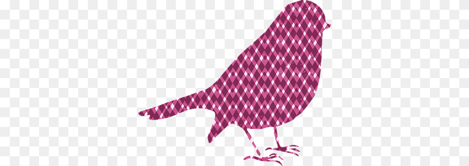 Bird Animal Free Png