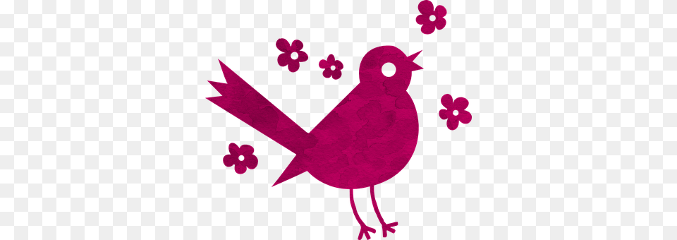 Bird Purple, Animal Free Png