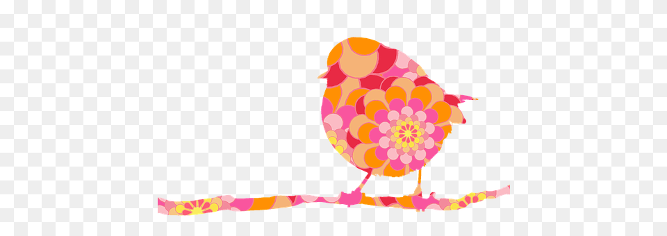 Bird Animal, Finch, Chicken, Fowl Png