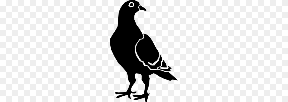 Bird Free Png Download