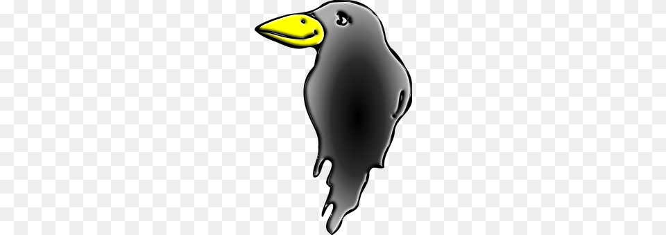 Bird Animal, Beak, Smoke Pipe, Blackbird Free Png