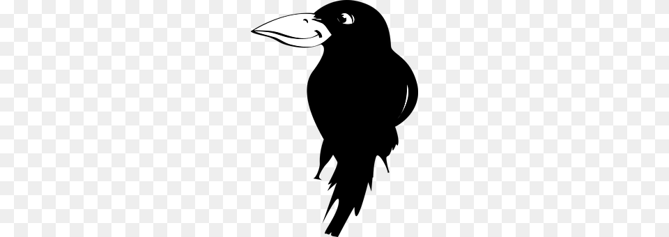 Bird Animal, Beak, Silhouette, Stencil Free Png