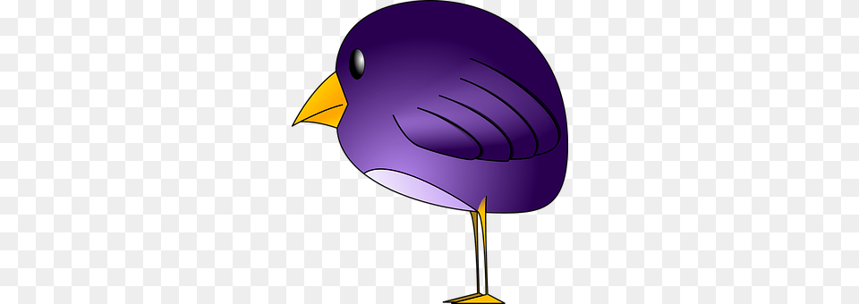 Bird Animal, Beak, Disk Free Png
