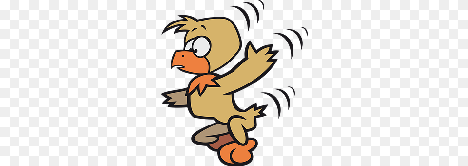 Bird Cartoon Free Transparent Png