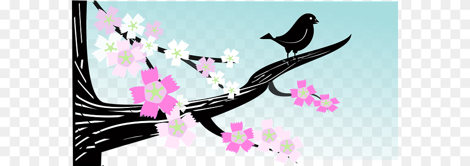 Bird Art, Graphics, Flower, Plant Free Png
