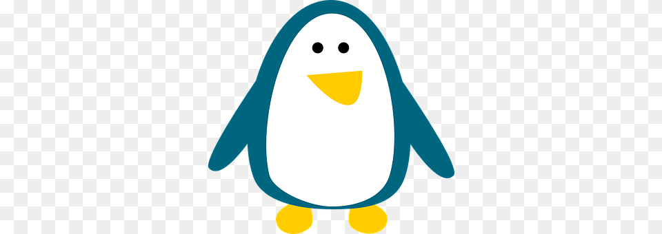 Bird Animal, Penguin, Nature, Outdoors Free Png