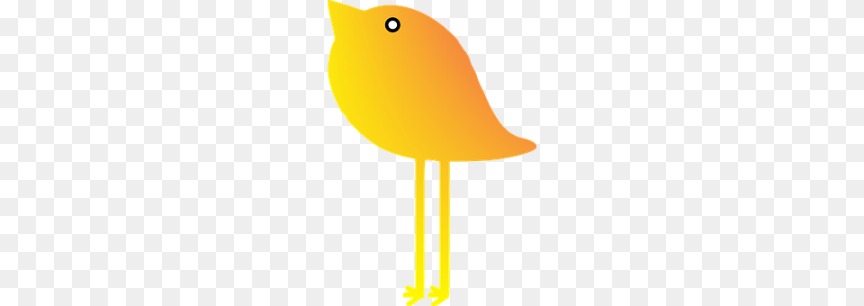 Bird Animal, Canary Png Image