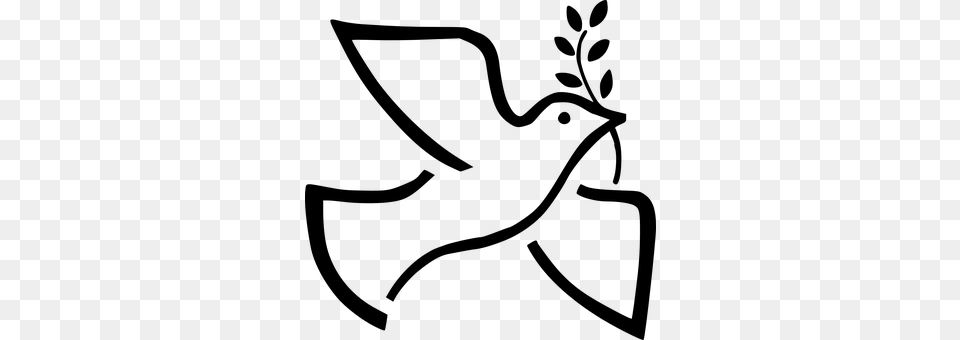 Bird Gray Png