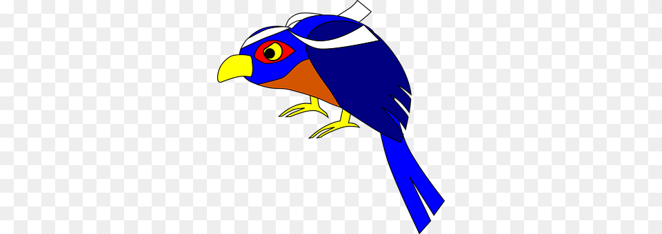 Bird Animal, Beak, Jay, Person Png