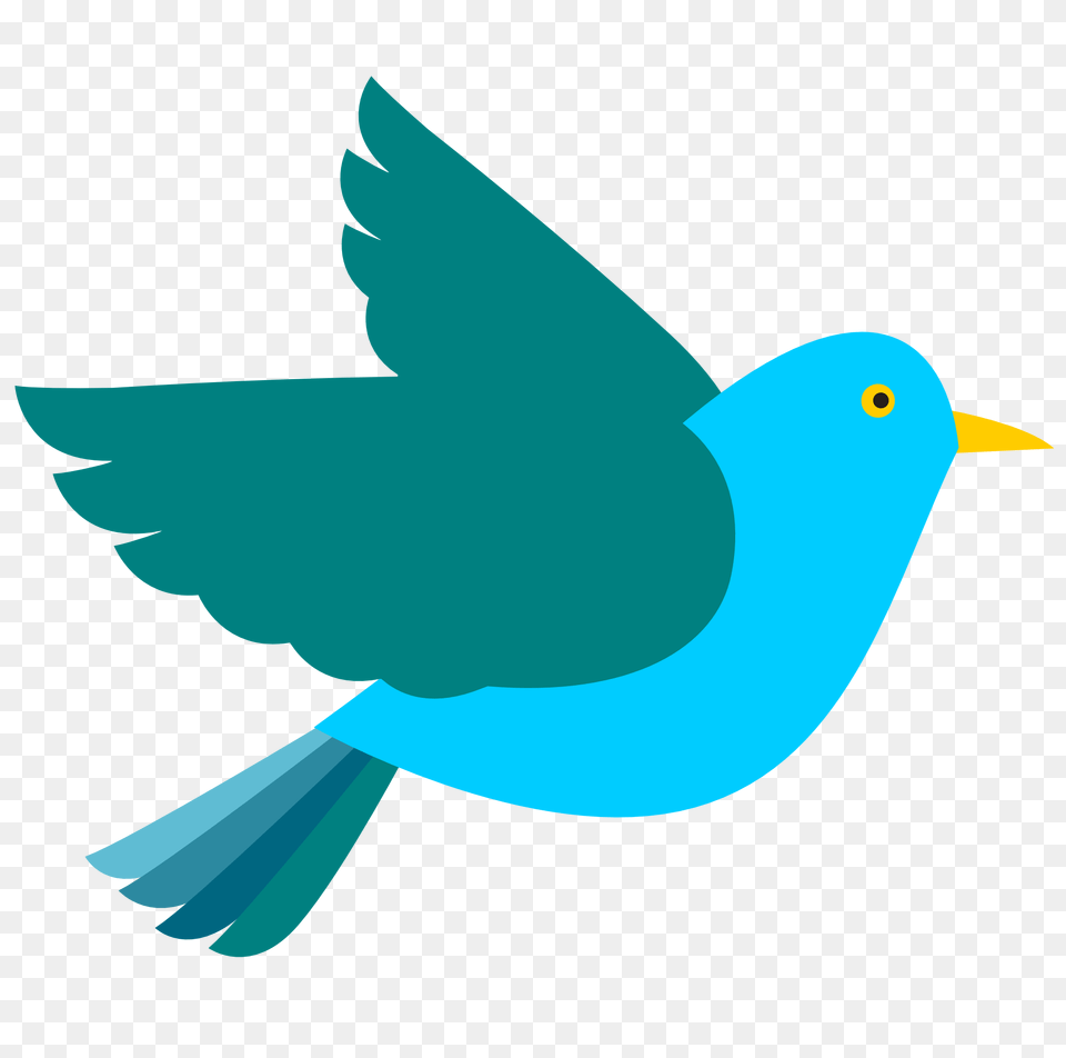 Bird, Animal, Beak, Blackbird, Fish Png