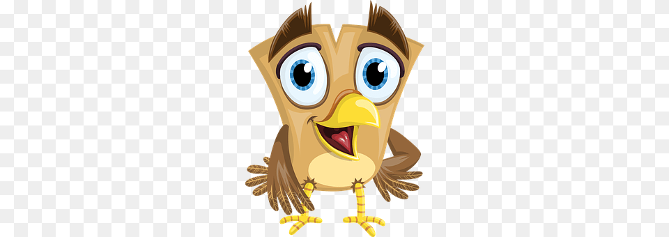 Bird Animal, Beak, Nature, Outdoors Free Png