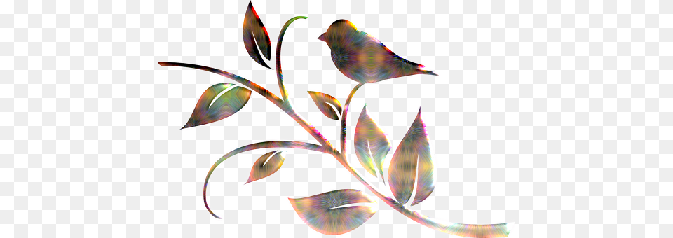 Bird Art, Floral Design, Graphics, Pattern Free Png Download