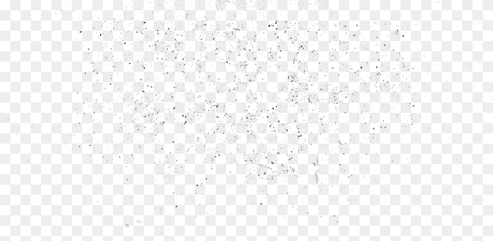 Bird, Black Png Image
