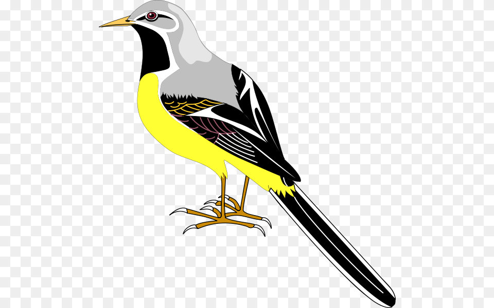 Bird 23 Clip Arts Cartoon Sparrows Clipart, Animal, Finch, Beak Free Transparent Png