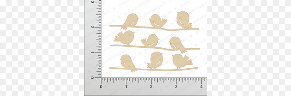 Bird, Chart, Plot, Animal Png Image